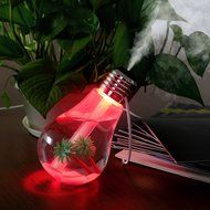 SCS ETC USB Powered Color Changing Cool Mist Bulb Humidifier-400mL Capacity-Super Quiet Operation-7 Color Nightlight N6