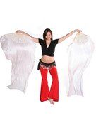 Belly Dancer Fan Veil N4