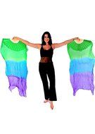 Belly Dancer Fan Veil N7