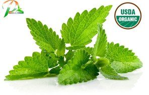 Pride Of India - Organic Neem/Margosa Herb, Half Pound Whole Leaf N11