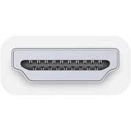 Apple HDMI to DVI Adapter