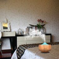 Top Home Dec 250ml Cool Mist Humidifier Ultrasonic Aroma Essential Oil Diffuser for Office Home Bedroom Living... N6