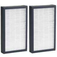 Germguardian HEPA Replacement Filter E; For Model AC4100 (2 pk.)