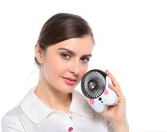 QH USB Mini Cooling Rechargeable Handheld Fan Speed Adjustable With Cute Panda Shape For Couples (Boy) (Black+... N4