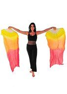 Belly Dancer Fan Veil N9