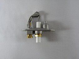Valor Electrode and Pilot Assembly Natural Gas