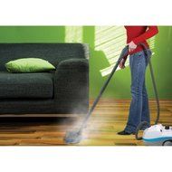 Gray Durable Powerful Multi-Purpose Steam Cleaner N2