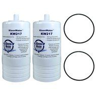 Aqua-Pure AP217 Compatible Filters, AP200 Replacement O-rings by KleenWater (6) N2