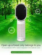 Air Purifier Allergies Remover True HEPA Anion Activated Carbon Filter and Odor Reduction N9