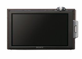 Sony Cyber-shot DSC-T900 12 MP Digital Camera with 4x Optical Zoom and Super Steady Shot Image Stabilization (...