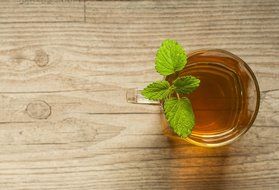 Organic Spearmint Tea, Loose Leaf Herbal Tea, Wild Tea #19 by Wild Foods (8 ounce) N4