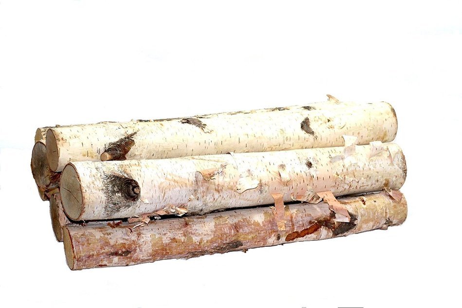 Northern white birch logs. set of logs 6
