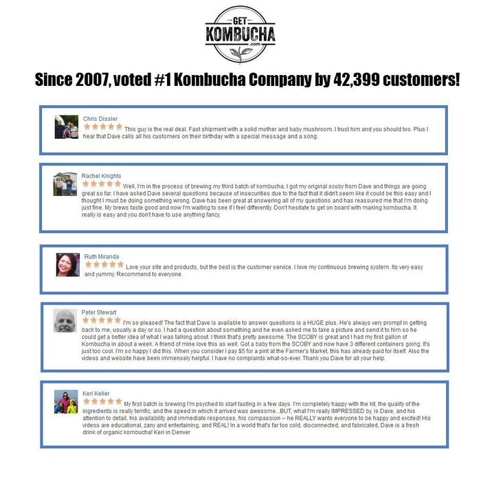 Kidney Liver Lung Tonic with Organic Kombucha Tea Extract by Getkombucha - (1-2 Month Supply). N9