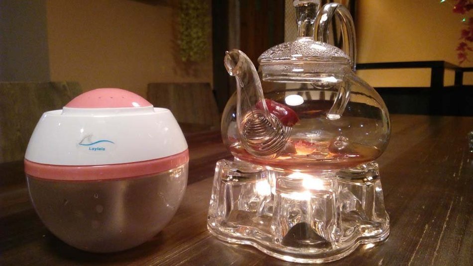 Laylala&reg; Anion Humidifier USB Mini Humidifier Aromatherapy Atomizer Silent Air Purifier N2