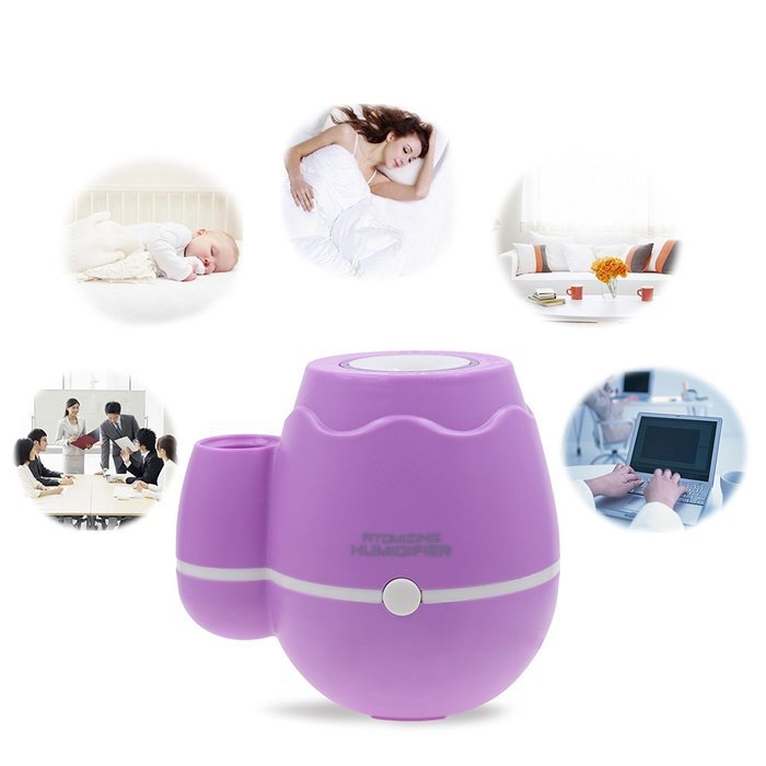 GetMine Flower Arranging and Air Humidification Multi-use Home or Office Desktop Mini Mist Humidifier, Pink N12