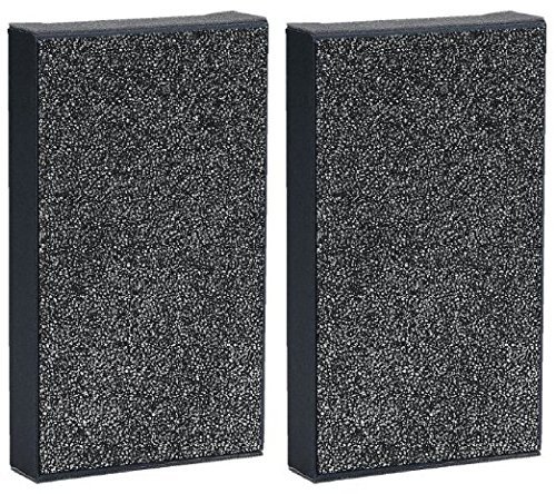 GermGuardian FLT4100 True HEPA Replacement Filter E for AC4100 Air Purifier (2 PACKS) N5