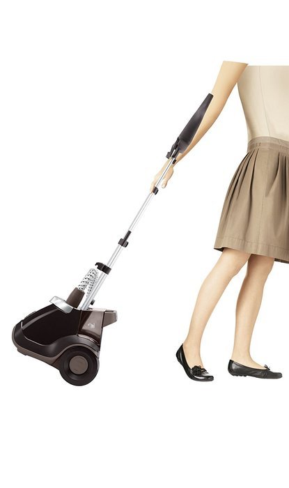 Rowenta IS6300 Master Valet Full Size Garment and Fabric Steamer with Roll and Press Support, 1550-Watt N2