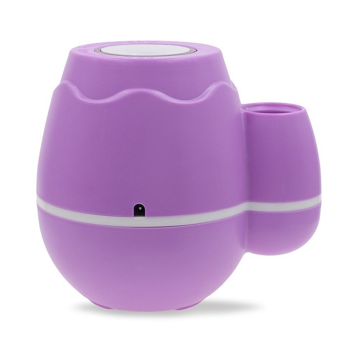 GetMine Flower Arranging and Air Humidification Multi-use Home or Office Desktop Mini Mist Humidifier, Pink N16