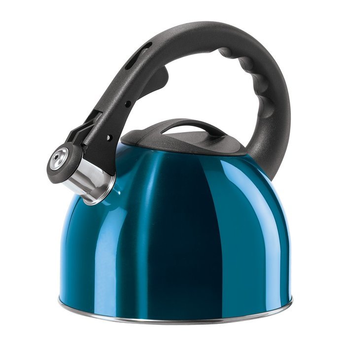 Oggi Stainless Steal Whistling Kettle in Blue