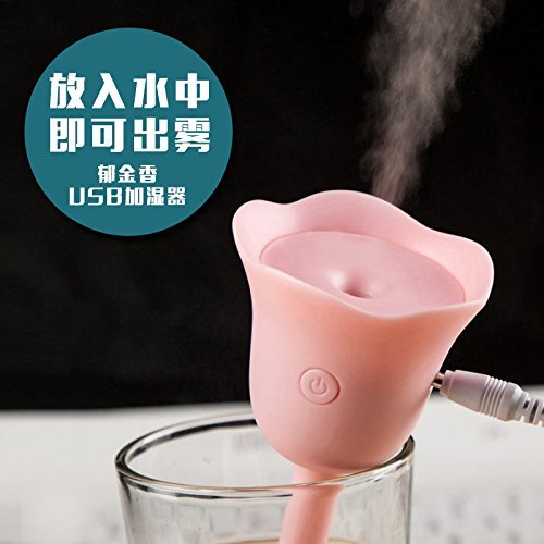 FEI&S Flower mini humidifier creative home office car carrying the humidifier , White N2