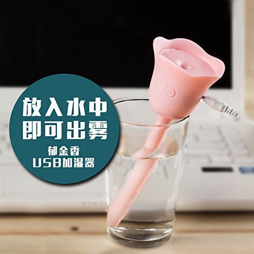FEI&S Flower mini humidifier creative home office car carrying the humidifier , White N3