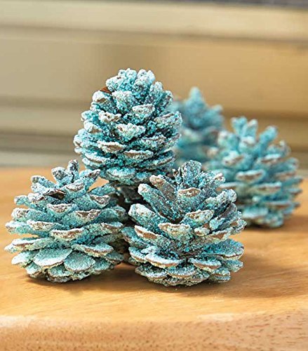 Fireplace Rainbow Flame-Coloring Flame Changing Pine Cones 1 Pound Bag N2