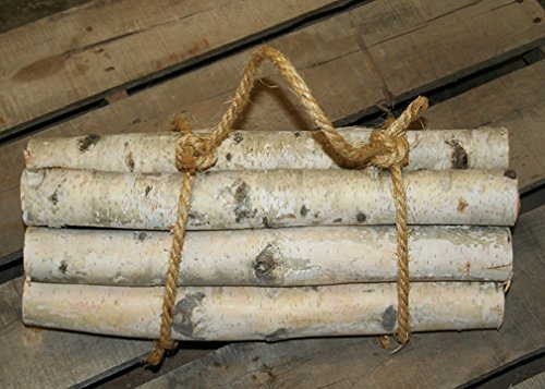 Roped Bundle of Birch Logs N3