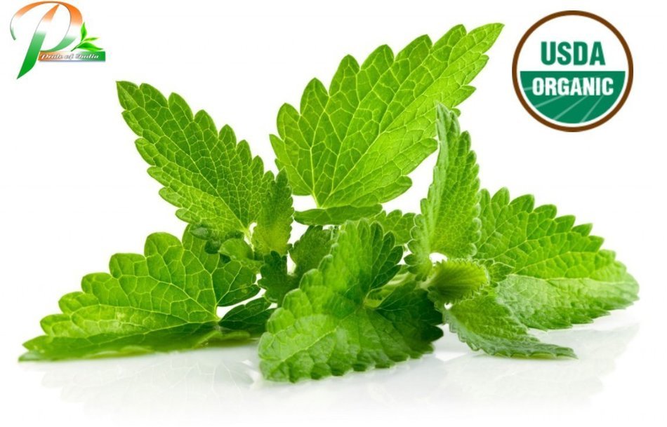 Pride Of India - Organic Neem/Margosa Herb, Half Pound Whole Leaf N11