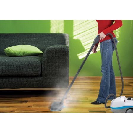 Gray Durable Powerful Multi-Purpose Steam Cleaner N2