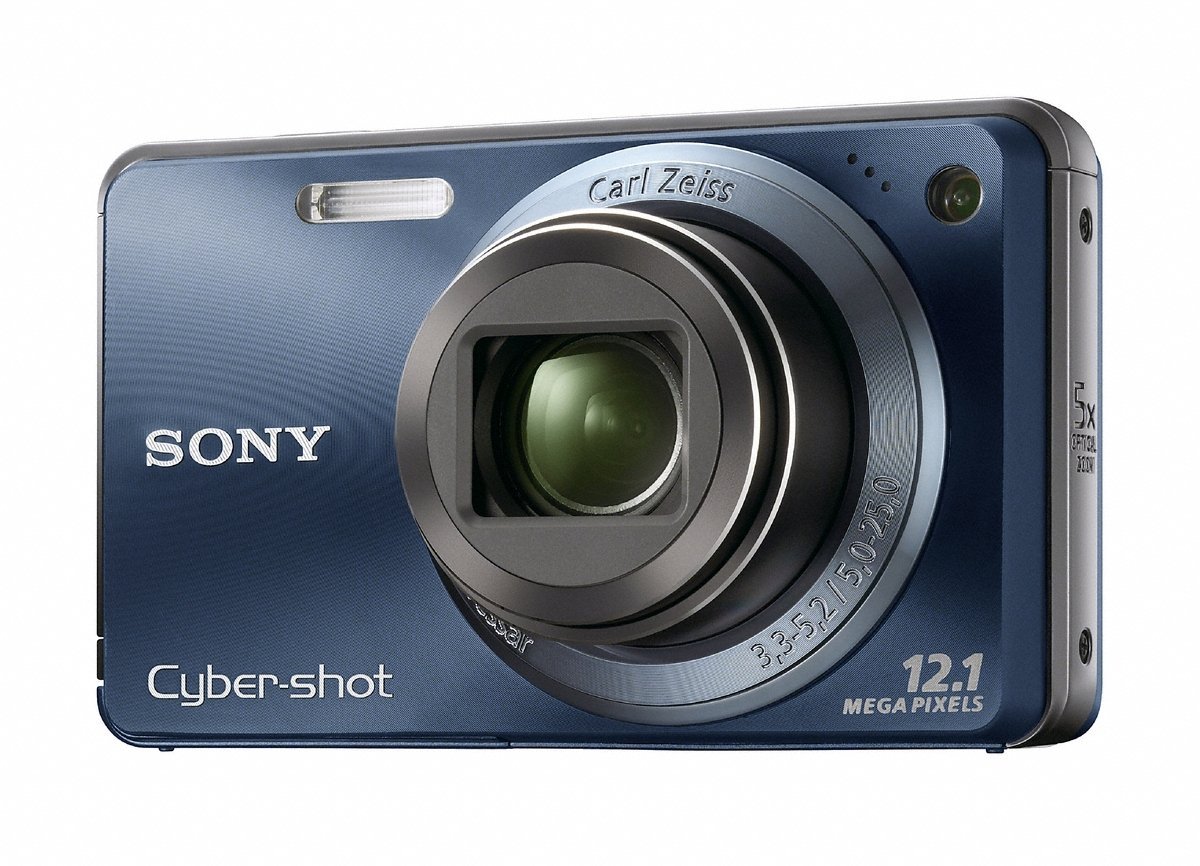 Sony Cybershot DSCW290 12.1 MP Digital Camera with 5x Optical Zoom