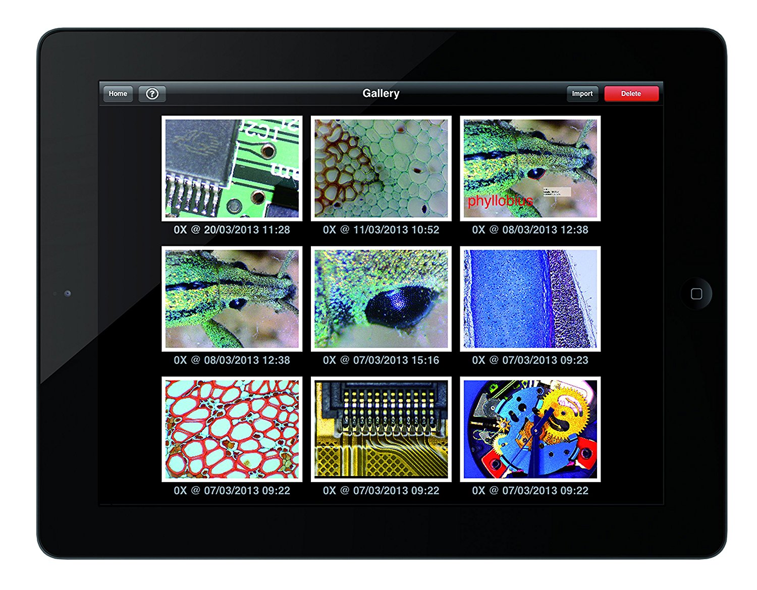 Moticam X WiFi Digital Microscope Camera (Windows 7,8 &10, OSX ...