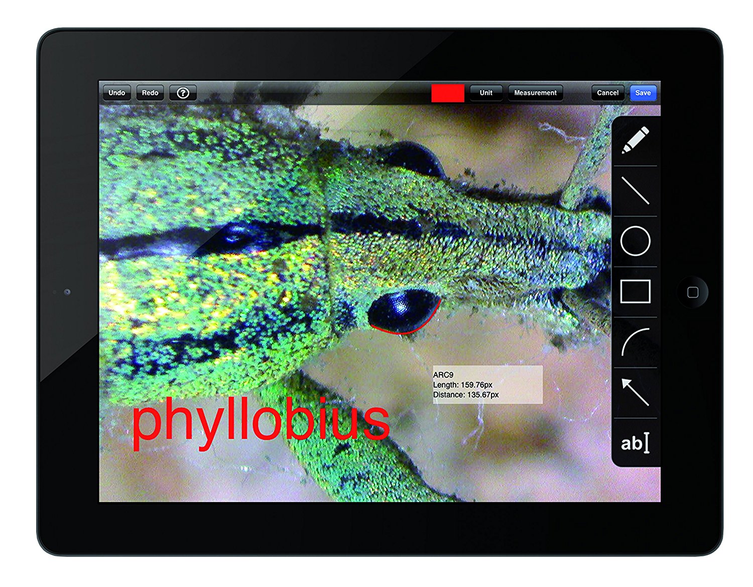 Moticam X WiFi Digital Microscope Camera (Windows 7,8 &10, OSX ...