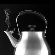 OXO Stainless Steel Tea Kettle N3
