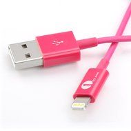 [Apple MFI Certified] 1byone Lightning to USB Cable 3.3ft (1 Meter) for iPhone 7 7 Plus 6s 6 Plus 5s SE 5c 5,... N5
