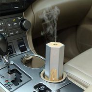 GerTong Car Charger Essential Oil Diffuser, 50ml Mini Ultrasonic Aroma Cool Mist Humidifier with USB Calbe and... N15