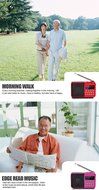 Timorn Portable Digital Receiver Supports TF Card/USB/MP3 format/FM Radio Function (Black) N2