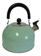 Stainless Steel Whistling Kettle Hot Water Tea Stovetop Light Green