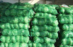 Mesh Produce Bag 24" x 36" (GREEN) - 100 per pack