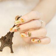 EVTECH(TM) 4 Pcs Rose Peony Carnation Flower Patterns Nail Polish Strips 12 double-ended Nail Decals Strips Nail... N15