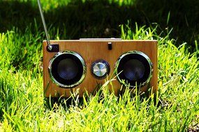 SwypeSound Mini Portable Bamboo Wood Boombox / Personal Speaker N3