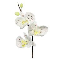 PME Metal Cutters, Moth Orchid Flower N2