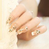 EVTECH(TM) 4 Pcs Rose Peony Carnation Flower Patterns Nail Polish Strips 12 double-ended Nail Decals Strips Nail... N22
