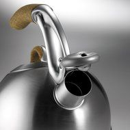 OXO Good Grips Anniversary Edition Uplift Tea Kettle, Brushed Stainless Steel N6