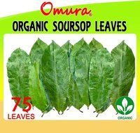 OMURA ORGANIC SOURSOP LEAVES HERBAL TEA 100% Natural Graviola Leaves,ANTIOXIDANT RICH (25 Tea Bags)