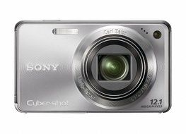 Sony Cyber-shot DSC-W290 12.1 MP Digital Camera with 5x Optical Zoom and Super Steady Shot Image Stabilization...