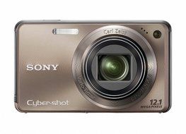 Sony Cyber-shot DSC-W290 12.1 MP Digital Camera with 5x Optical Zoom and Super Steady Shot Image Stabilization... N2