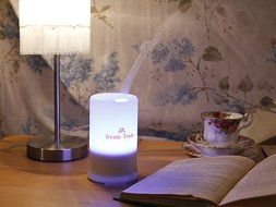 Irenic Essential Oil Diffuser Cool Mist Aroma Humidifier with Color LED Lights N8