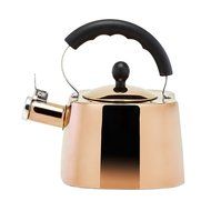 Old Dutch 1874 Europa Tea Kettle, 1.7 quart /1.6 L, Titanium