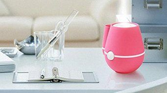 BuyHere USB Powered Vase-shape Humidifier, Rose Red N5