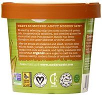 Modern Oats Apple Walnut Oatmeal, 2.6 Ounce (Pack of 12) N66